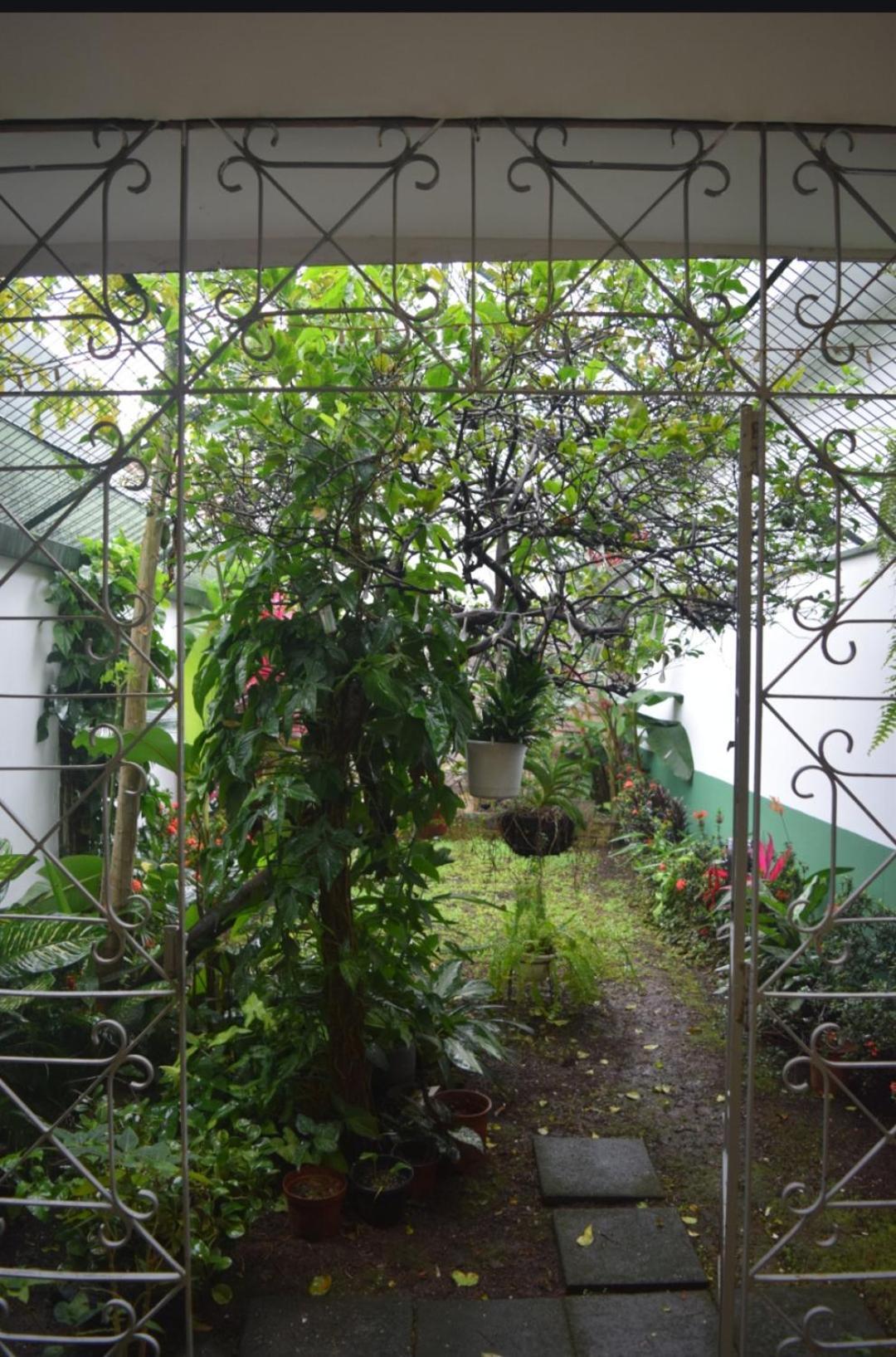 Linda Y Centrica * Alajuela